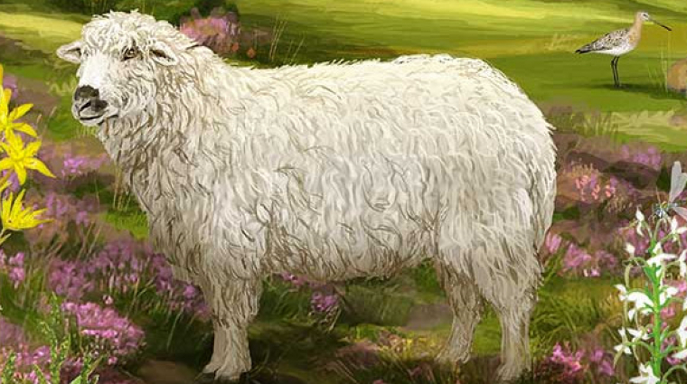 Az erdő új arca a lápvidéken - elképesztően addiktív lett a Dartmoor bevezetőkép