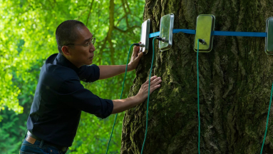 Enyedi Ildikó filmje tartolt a 45. magyar filmszemlén kép