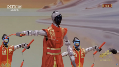 Nagy bajban leszünk, ha így kungfuznak a robotok fókuszban