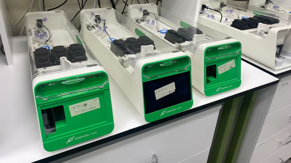 Emberi agysejtek hajtanak hamarosan két új adatközpontot kép