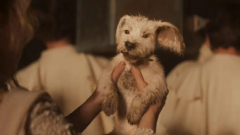 A Supergirl új előzetese végre megmutatta, honnan jött Krypto kép