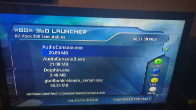 A srác 2300 forintért vett egy Xboxot a bolhapiacon, amin ott pihent a GTA 4 belsős bétája kép