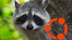 Nem úszod meg a RAM-bővítést - eltanulta a rosszat a Windowstól a Linux kép