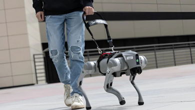 A mesterséges intelligencia segítségével még beszélget is a vakvezető robotkutya kép