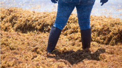 A mesterséges intelligencia leplezte le a globális robbanást kép