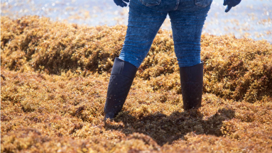 A mesterséges intelligencia leplezte le a globális robbanást kép