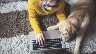 Amikor az AI hasznos és a barátod - ilyen a modern csalásvédelem kép