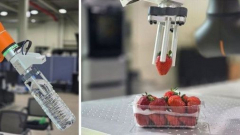 Itt a háromujjas robot, amely elveszi az élelmiszeripari munkások munkáját kép