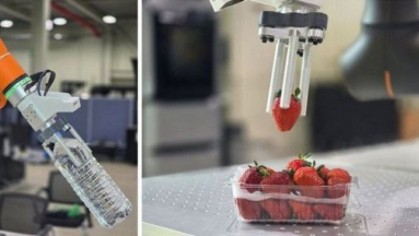 Itt a háromujjas robot, amely elveszi az élelmiszeripari munkások munkáját kép