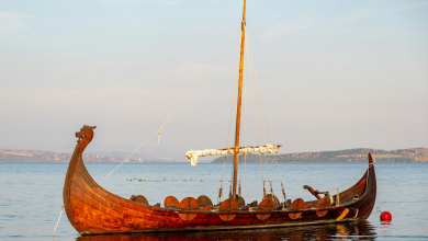 Viking kori kardot talált az osztálykiránduláson egy hatéves kisfiú kép