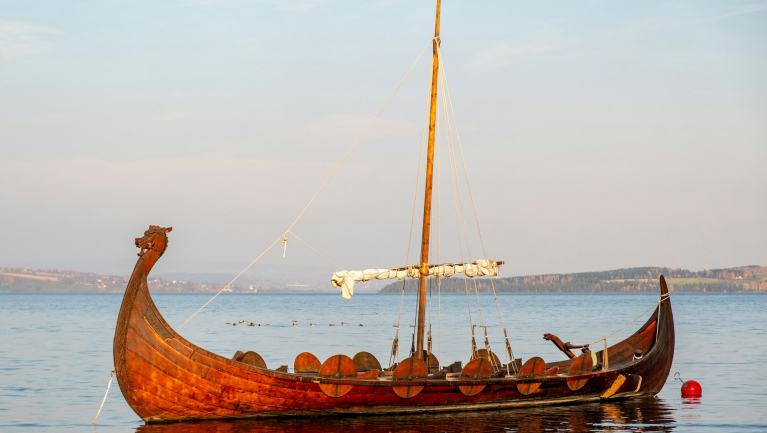 Viking kori kardot talált az osztálykiránduláson egy hatéves kisfiú fókuszban