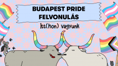 Június 27-én tartanák meg idén a Budapest Pride-ot kép