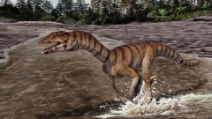 Új dinoszauruszfajt fedeztek fel Új-Mexikóban kép