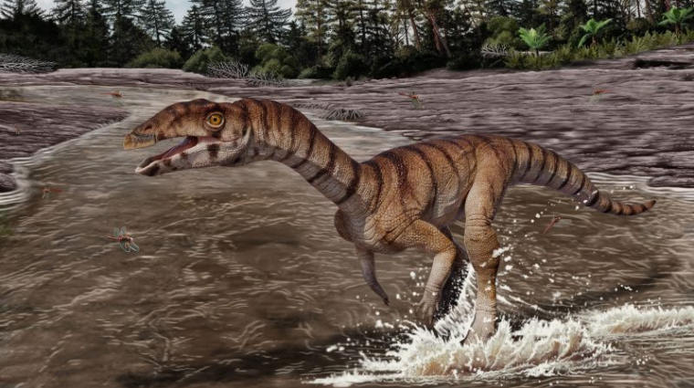 Új dinoszauruszfajt fedeztek fel Új-Mexikóban kép