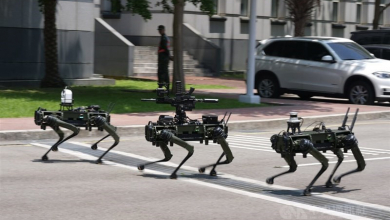 Ilyen robotkutyák járőrözhetnek a Tajvan távoli szigetein a Dél-Kínai tengeren kép