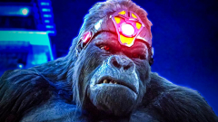 Jimmy Olsen Gorilla Grodd gyilkossági ügyét göngyölíti fel a DCU új sorozatában kép