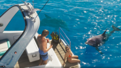 A GTA 6-ban 170 különböző állat lesz, köztük néhány igazi ritkasággal kép
