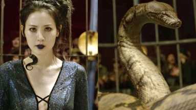 Nagini sokkal több volt Voldemort rémisztő kígyójánál kép
