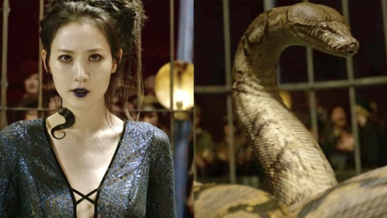 Nagini sokkal több volt Voldemort rémisztő kígyójánál fókuszban