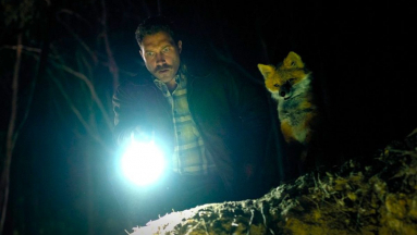 Ha gondok vannak az ágyban, ne a rókától kérj tippeket - teljesen agyament filmben tér vissza Emily Browning és Jai Courtney a mozikba fókuszban