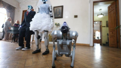 Két robot hivatalosan is összeházasodott - Oroszországban! kép