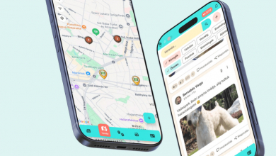 Csodálatos magyar kutyasétáltatós app segíti az erdők állatait is kép