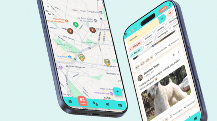 Csodálatos magyar kutyasétáltatós app segíti az erdők állatait is kép