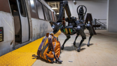 Az amerikai bevándorlási hivatal épp robotkutyákat vásárol kép