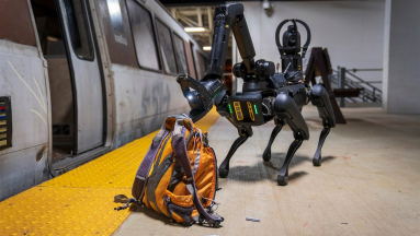 Az amerikai bevándorlási hivatal épp robotkutyákat vásárol kép