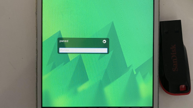 Valaki rápakolt egy Linuxot egy iPhone 6s-re kép