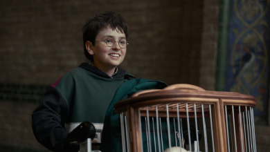 Megvan Dobby és a fiatal Voldemort színésze is a Harry Potter-sorozat második évadára kép