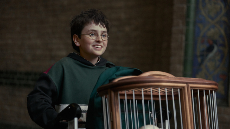 Megvan Dobby és a fiatal Voldemort színésze is a Harry Potter-sorozat második évadára bevezetőkép