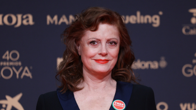 Susan Sarandon azt állítja, továbbra is elvesznek tőle filmeket azért, mert kiállt Palesztina mellett kép