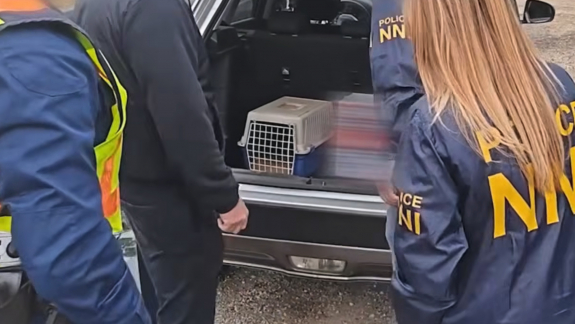 A tiszafüredi férfi, akinek nagyon tetszett a Tiger King, valószínűleg nem látta a Vírust kép