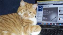 Macskavizelet illatú laptopok a Delltől kép