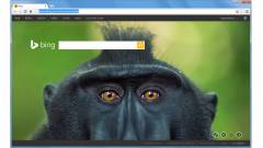 Binges új lap oldal jöhet a Chrome böngészőbe kép