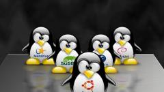 Melyek a legnépszerűbb Linux-disztribúciók? kép