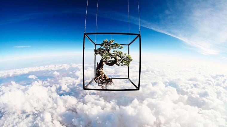 Exobiotanica: az űrutazó bonsai története kép