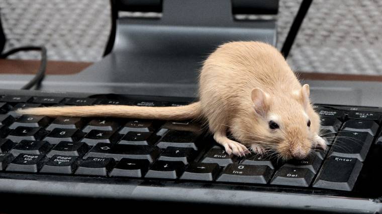 Így helyettesítsd az egeret egy billentyűzettel kép