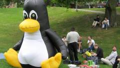 Súlyos sebezhetőség a Linuxban és Androidban kép