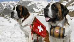 Drónok segítik a svájci mentőkutyákat kép