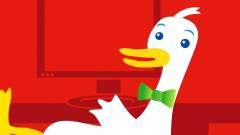 Szédületes tempóban nő a DuckDuckGo kép
