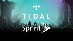 Megveszi a Tidal harmadát a Sprint mobilszolgáltató kép