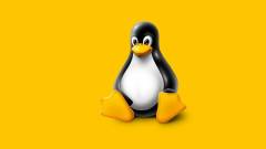 Linux-tévhitek: ne félj a pingvintől! kép