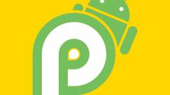 Augusztus 20-án érkezhet a végleges Android P kép