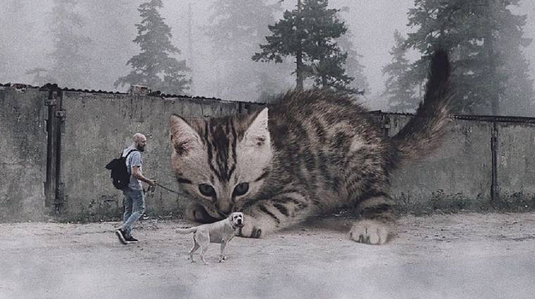 Óriás macskák veszik át az uralmat a Földön kép